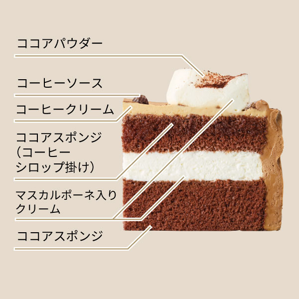 イメージ ココアパウダーコーヒーソース  コーヒークリーム ココアスポンジ（コーヒーシロップ掛け） マスカルポーネ入りクリーム ココアスポンジ