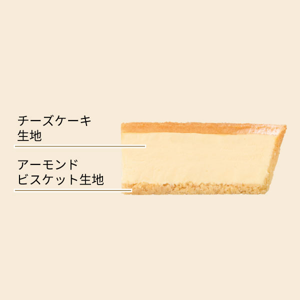 イメージ チーズケーキ生地 アーモンドビスケット生地
