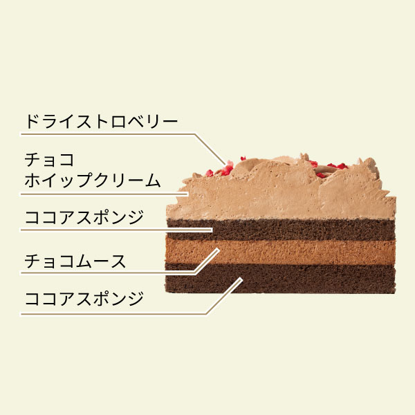 イメージ ドライストロベリー チョコホイップクリーム ココアスポンジ チョコムース ココアスポンジ
