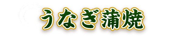 うなぎ蒲焼