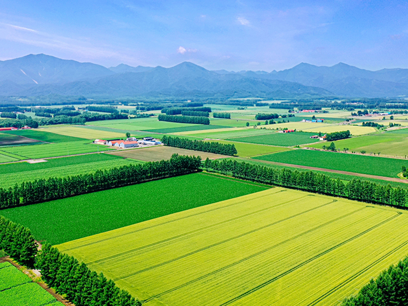 風景画像