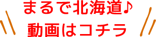 まるで北海道 動画はコチラ
