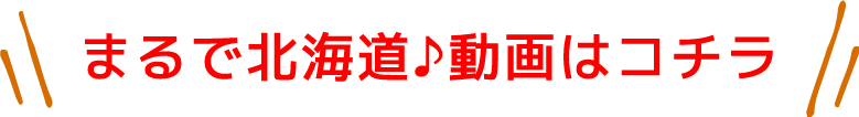 まるで北海道 動画はコチラ
