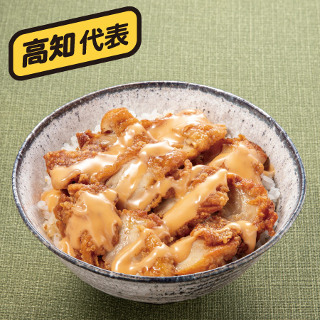 イメージ 高知代表
