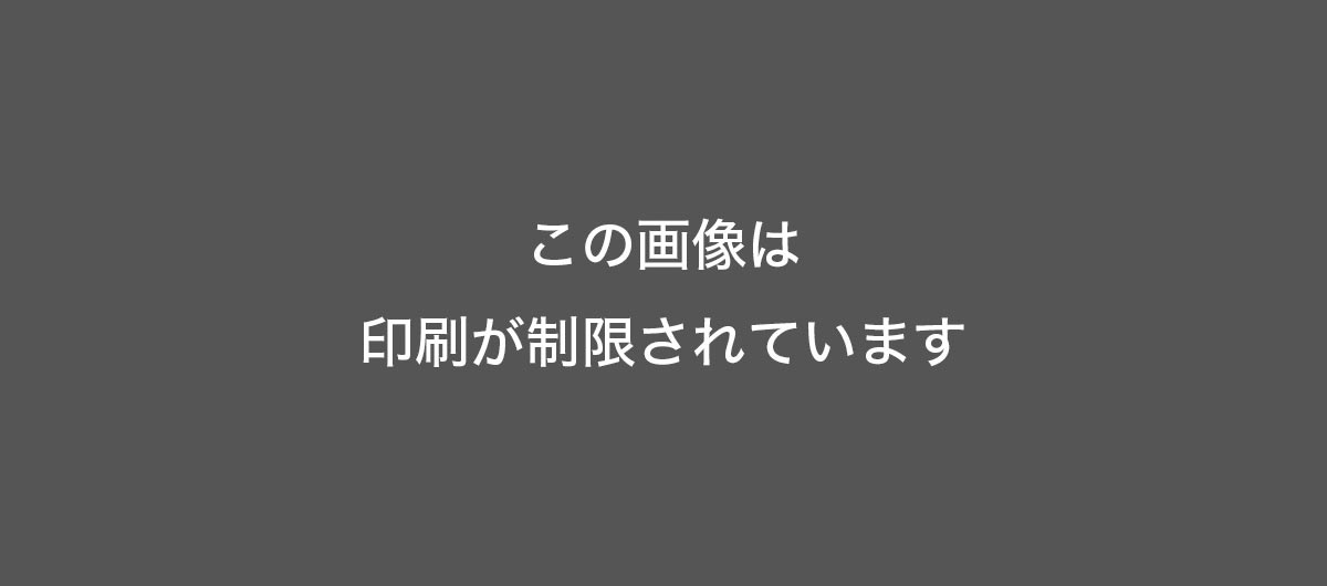速水もこみち監修おせち 招宝