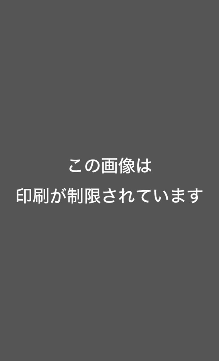 速水もこみち監修おせち 招宝
