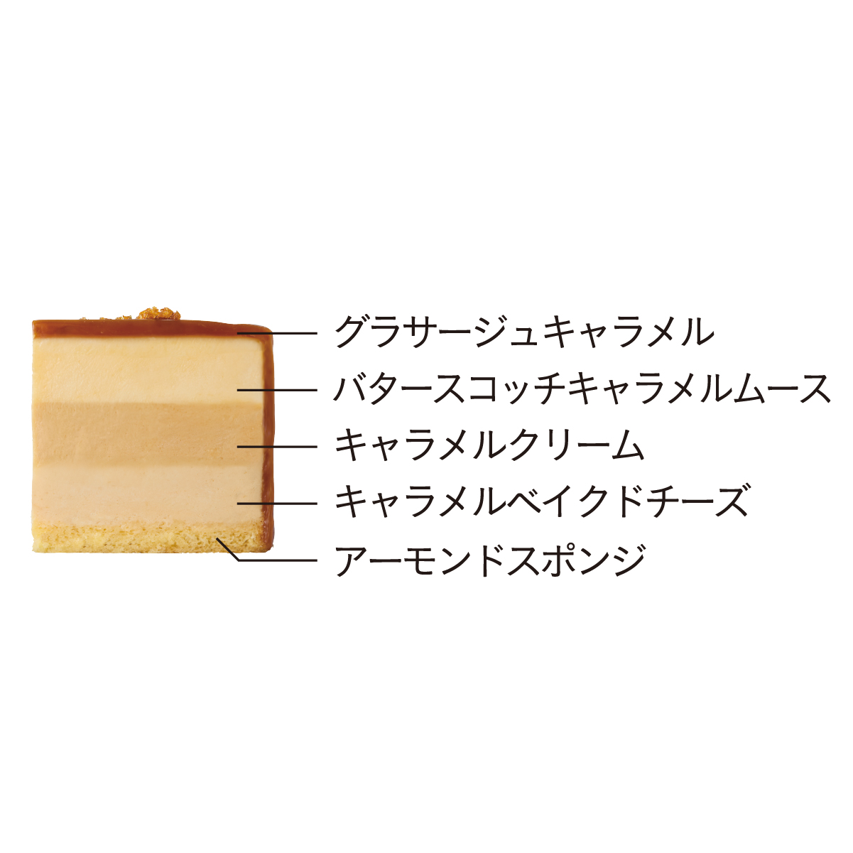断面図 グラサージュキャラメル バタースコッチキャラメルムース キャラメルクリーム キャラメルベイクドチーズ アーモンドスポンジ