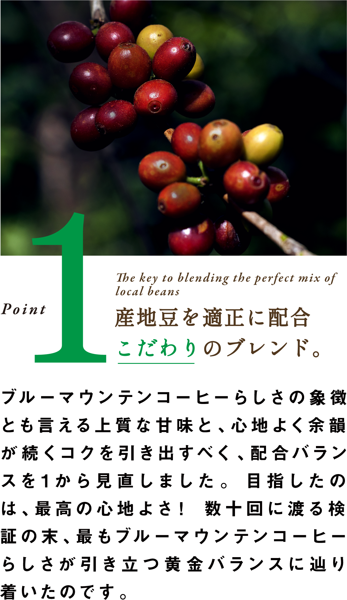 Point1 The key to blending the perfect mix 
of local beans 産地豆を適正に配合 こだわりのブレンド。ブルーマウンテンコーヒーらしさの象徴とも言える上質な甘味と、心地よく余韻が続くコクを引き出すべく、配合バランスを1から見直しました。目指したのは、最高の心地よさ！数十回に渡る検証の末、最もブルーマウンテンコーヒーらしさが引き立つ黄金バランスに辿り着いたのです。