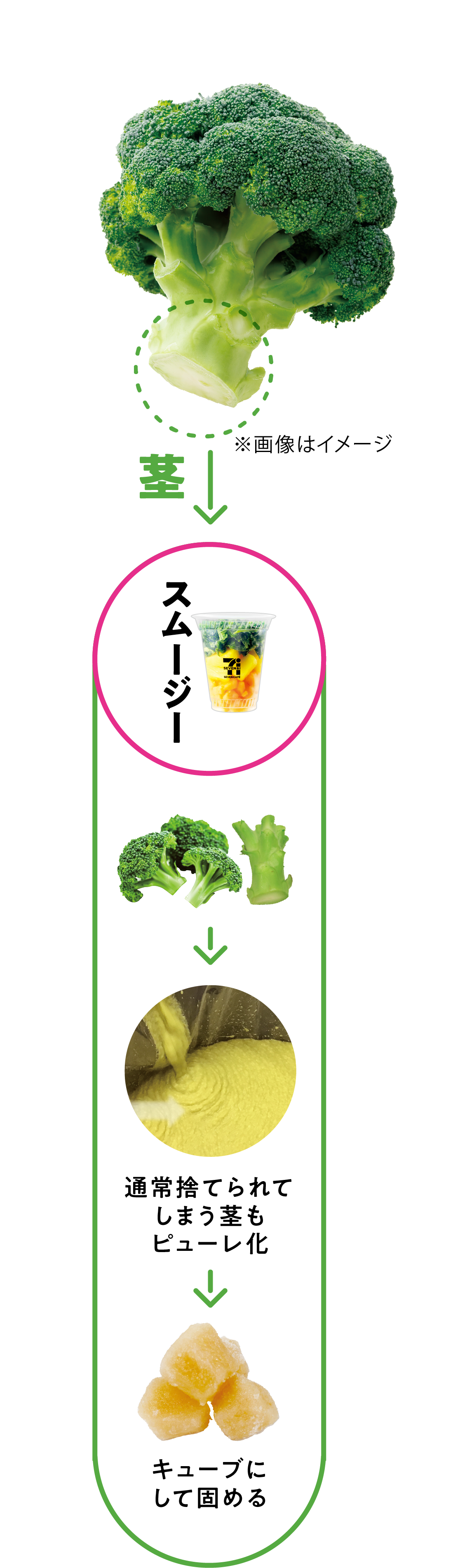 グリーンスムージーの事例 花蕾がサラダやグラタンに、茎がスムージーになる様子