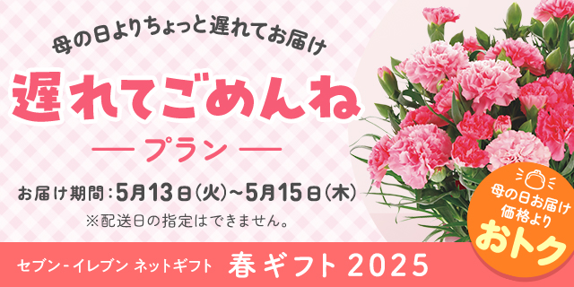 セブン‐イレブンのネットギフト　母の日・春ギフト