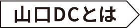 山口DCとは