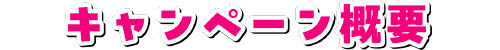 キャンペーン概要