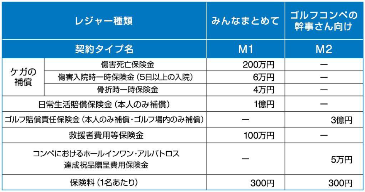 保険　表２.png