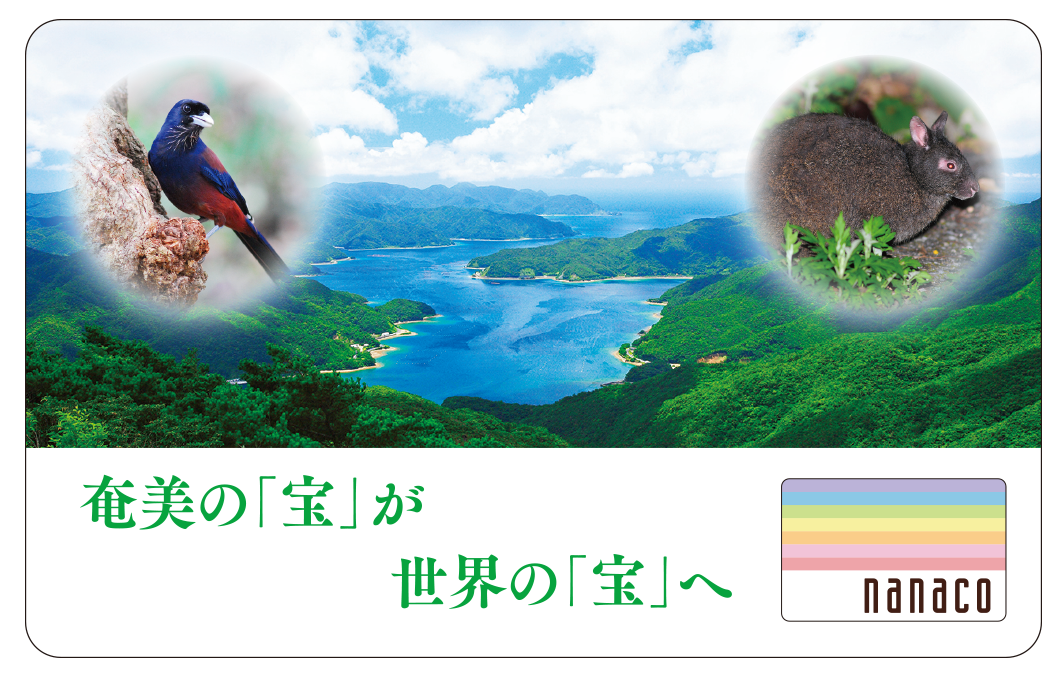 kagoshima_nanaco_card.png
