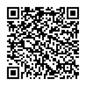 QR_抹茶特集.png